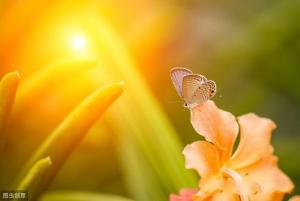 正念冥想，读懂这个故事，人生便没有怨言了