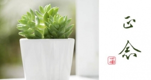 正念需要打坐很久吗？